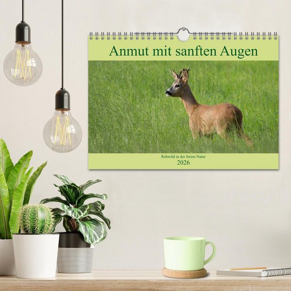 Produktbild: Anmut mit sanften Augen - Rehwild in der freien Natur (Wandkalender 2026 DIN A4 quer), CALVENDO Monatskalender