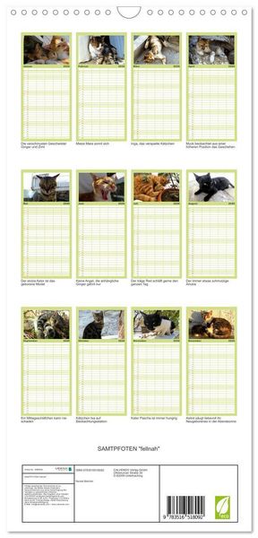 Produktbild: Familienplaner 2026 - SAMTPFOTEN "fellnah" mit 5 Spalten (Wandkalender, 21 x 45 cm) CALVENDO