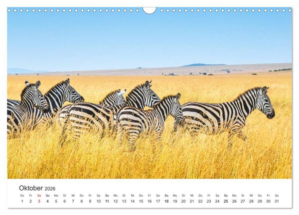 Produktbild: Safari durch Afrika (Wandkalender 2026 DIN A3 quer), CALVENDO Monatskalender