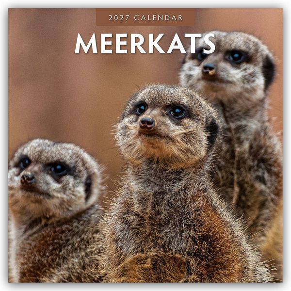 Produktbild: Meerkats &ndash; Erdm&auml;nnchen 2027 &ndash; 16-Monatskalender