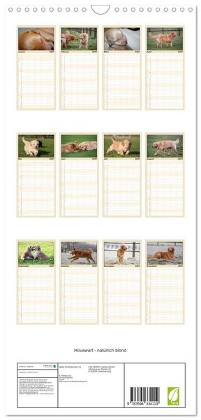Produktbild: Familienplaner 2027 - Hovawart - nat&uuml;rlich blond mit 5 Spalten (Wandkalender, 21 x 45 cm) CALVENDO