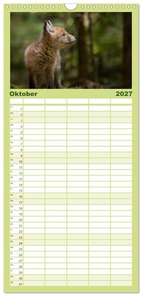 Produktbild: Familienplaner 2027 - Bei den Jungf&uuml;chsen mit 5 Spalten (Wandkalender, 21 x 45 cm) CALVENDO