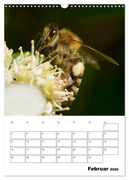 Produktbild: Hummeln und Bienen Terminplaner (Wandkalender 2026 DIN A3 hoch), CALVENDO Monatskalender