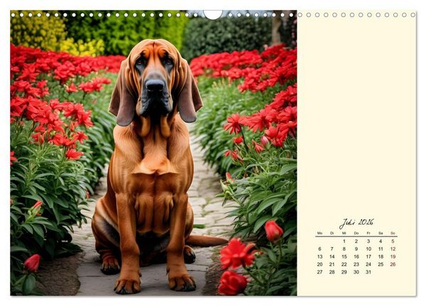 Produktbild: Bloodhound - M&auml;chtige Sp&uuml;rnase (Wandkalender 2026 DIN A3 quer), CALVENDO Monatskalender