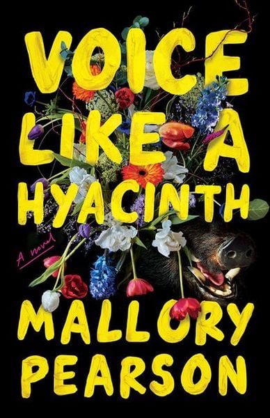 Produktbild: Voice Like a Hyacinth