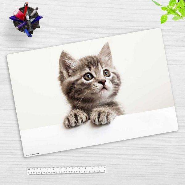 Cover-your-desk Schreibtischunterlage für Kinder Baby Kätzchen, aus hochwertigem Vinyl, 60 x 40 cm