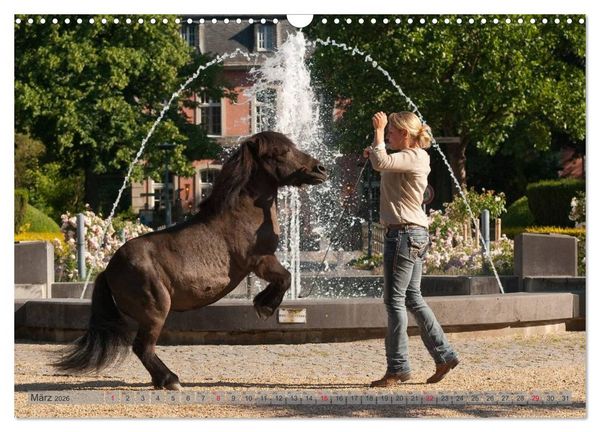 Produktbild: Natural Horsemanship - Partnerschaft mit Pferden (Wandkalender 2026 DIN A3 quer), CALVENDO Monatskalender
