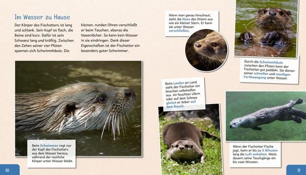 Produktbild: Meine gro&szlig;e Tierbibliothek: Der Otter