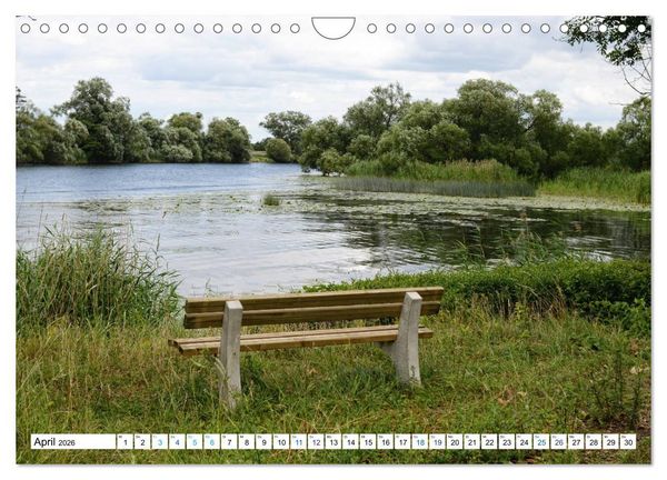 Produktbild: Ein Sommer im Havelland - Spaziergang entlang am Havelradweg (Wandkalender 2026 DIN A4 quer), CALVENDO Monatskalender