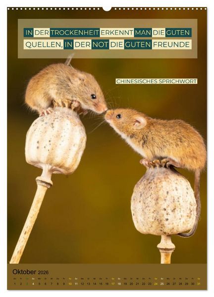 Produktbild: Freundschaft Weisheiten und Zitate (Wandkalender 2026 DIN A2 hoch), CALVENDO Monatskalender