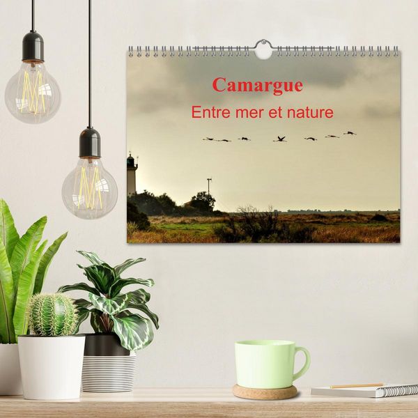 Produktbild: Camargue Entre mer et nature (Calendrier mural 2026 DIN A4 vertical), CALVENDO calendrier mensuel