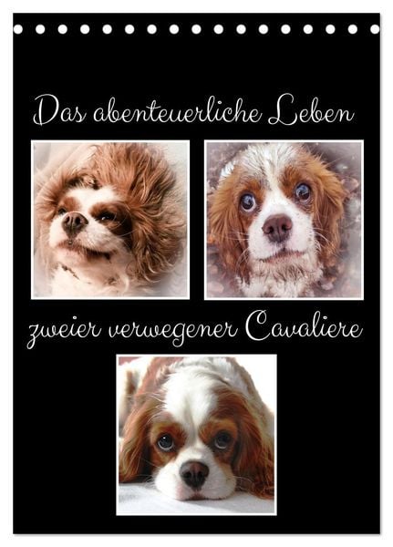 Produktbild: Das abenteuerliche Leben zweier verwegener Cavaliere (Tischkalender 2026 DIN A5 hoch), CALVENDO Monatskalender
