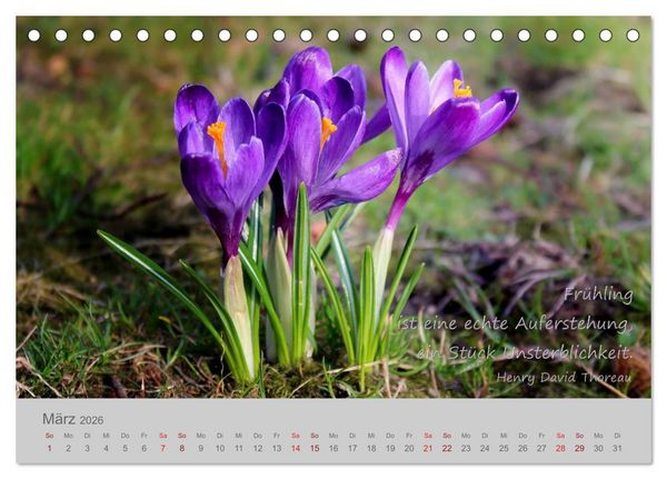 Produktbild: Jahres-Zeiten (Tischkalender 2026 DIN A5 quer), CALVENDO Monatskalender