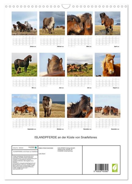 Produktbild: ISLANDPFERDE an der K&uuml;ste von Sn&aelig;fellsnes (Wandkalender 2026 DIN A3 hoch), CALVENDO Monatskalender