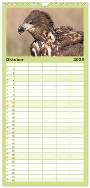 Produktbild: Familienplaner 2026 - Seeadler in Polen mit 5 Spalten (Wandkalender, 21 x 45 cm) CALVENDO