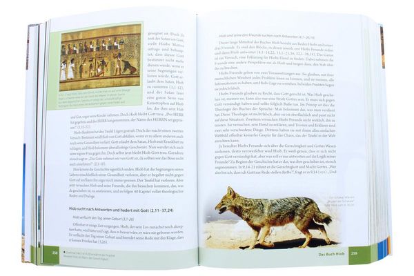 Produktbild: Das illustrierte Handbuch zur Bibel