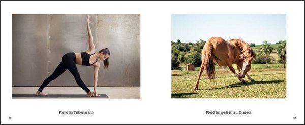 Produktbild: Tiere machen Yoga