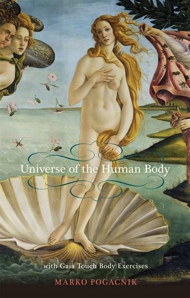 Produktbild: The Universe of the Human Body