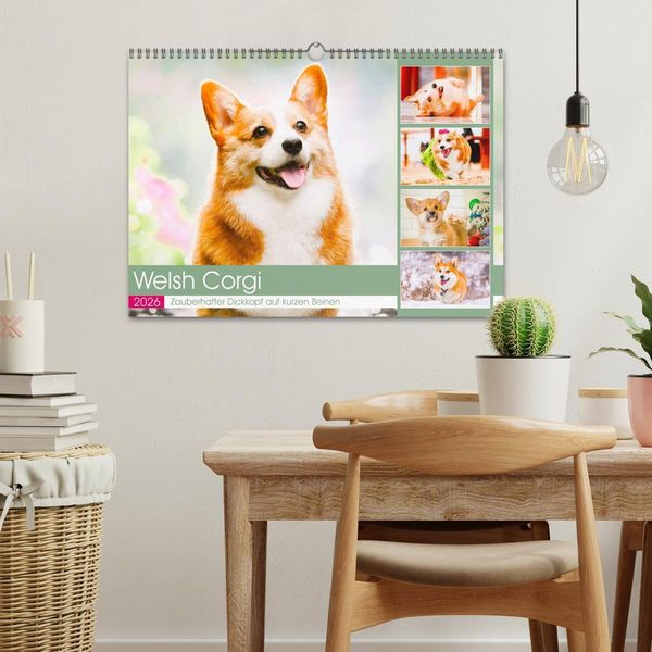 Produktbild: Welsh Corgi. Zauberhafter Dickkopf auf kurzen Beinen (Wandkalender 2026 DIN A3 quer), CALVENDO Monatskalender