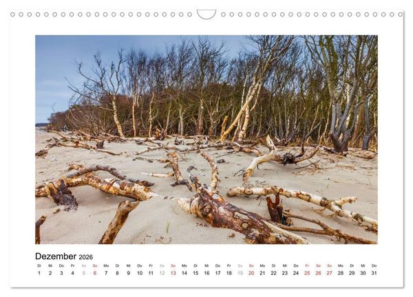 Produktbild: Ostsee - Spaziergang am Meer (Wandkalender 2026 DIN A3 quer), CALVENDO Monatskalender