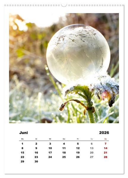 Produktbild: Frostige Seifenblasen (hochwertiger Premium Wandkalender 2026 DIN A2 hoch), Kunstdruck in Hochglanz