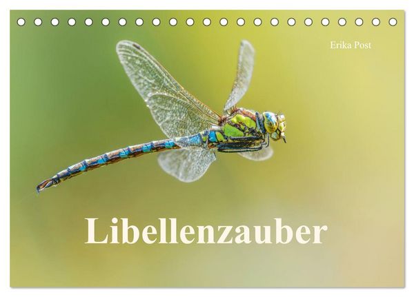 Produktbild: Libellenzauber (Tischkalender 2027 DIN A5 quer), CALVENDO Monatskalender