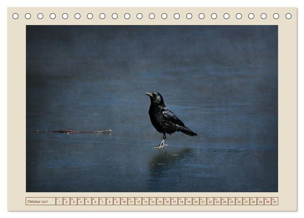 Produktbild: V&ouml;gel am Chemnitzer Schlossteich (Tischkalender 2027 DIN A5 quer), CALVENDO Monatskalender