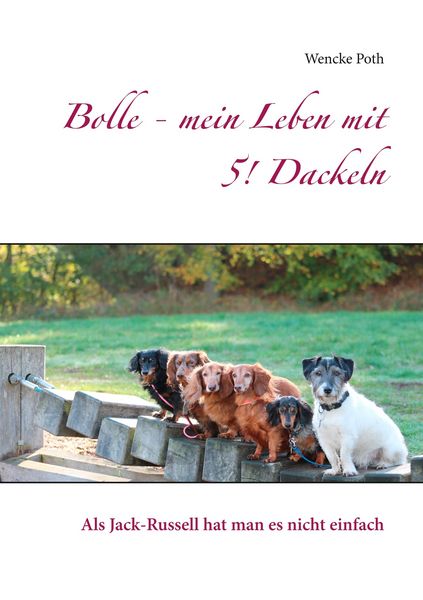 Produktbild: Bolle - mein Leben mit 5! Dackeln