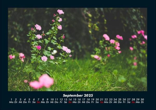 Produktbild: Blumentr&auml;ume 2025 Fotokalender DIN A4
