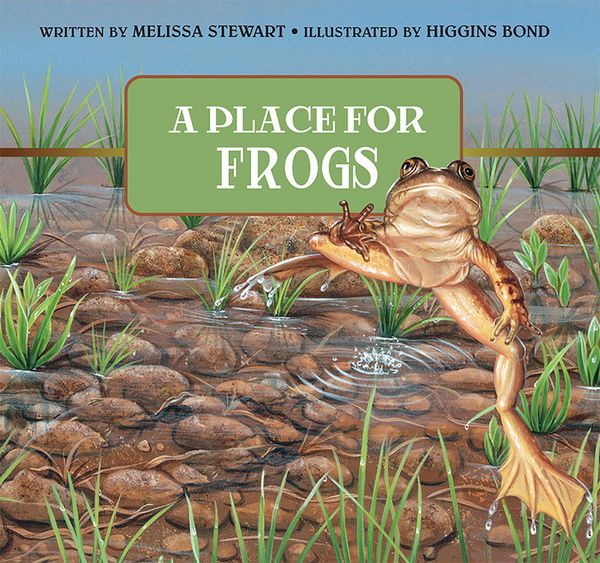 Produktbild: A Place for Frogs
