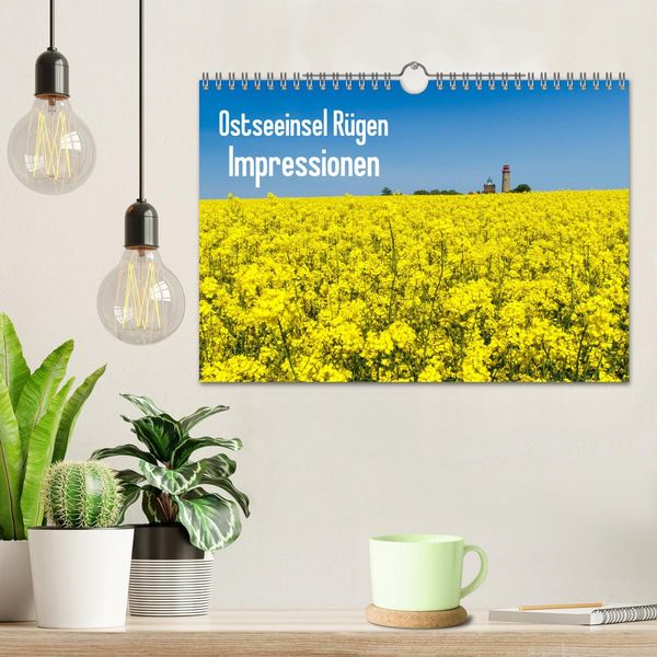 Produktbild: Ostseeinsel R&uuml;gen Impressionen (Wandkalender 2026 DIN A4 quer), CALVENDO Monatskalender