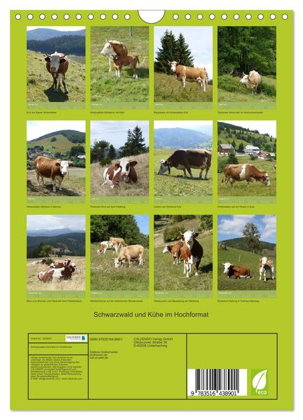 Produktbild: Schwarzwald und K&uuml;he im Hochformat (Wandkalender 2026 DIN A4 hoch), CALVENDO Monatskalender