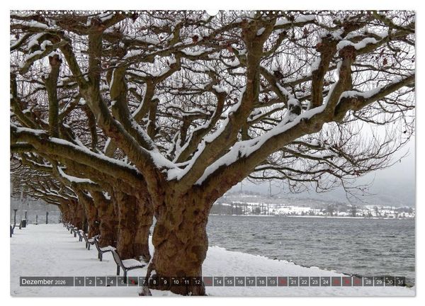 Produktbild: Bodensee Tr&auml;ume (Wandkalender 2026 DIN A2 quer), CALVENDO Monatskalender