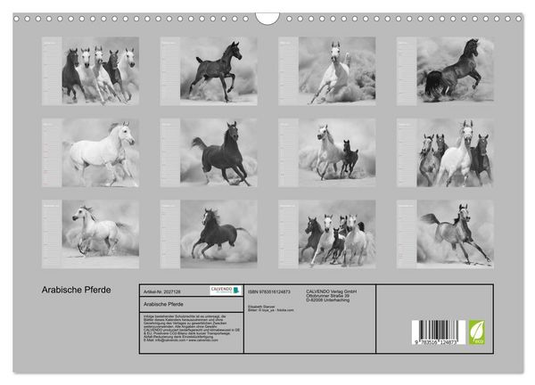 Produktbild: Arabische Pferde (Wandkalender 2026 DIN A3 quer), CALVENDO Monatskalender