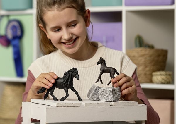 Produktbild: schleich&reg; 13977 Friese Fohlen