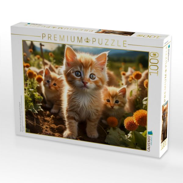 Produktbild: CALVENDO Puzzle K&auml;tzchen, hier ist es schon spannend und aufregend | 1000 Teile Lege-Gr&ouml;&szlig;e 64x48cm Foto-Puzzle f&uuml;r gl&uuml;ckliche Stunden
