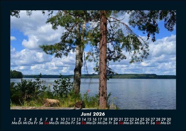 Produktbild: B&auml;ume 2026 Fotokalender DIN A5
