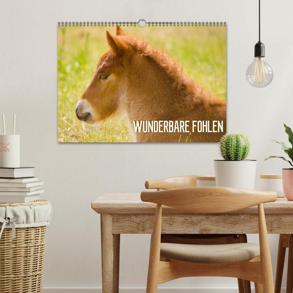 Produktbild: Wunderbare Fohlen (Wandkalender 2026 DIN A3 quer), CALVENDO Monatskalender