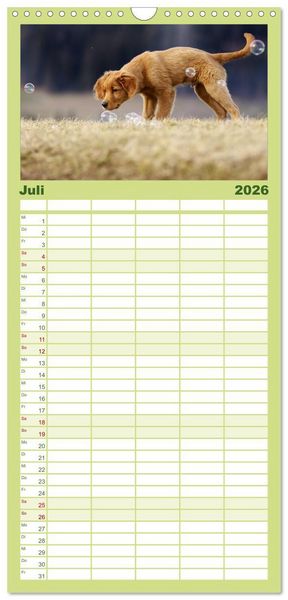 Produktbild: Familienplaner 2026 - Chesley Kleiner Hund grosse Abenteuer mit 5 Spalten (Wandkalender, 21 x 45 cm) CALVENDO