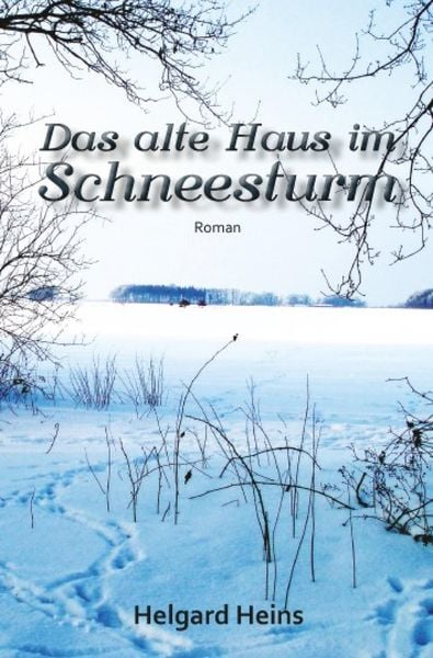 Produktbild: Das alte Haus im Schneesturm