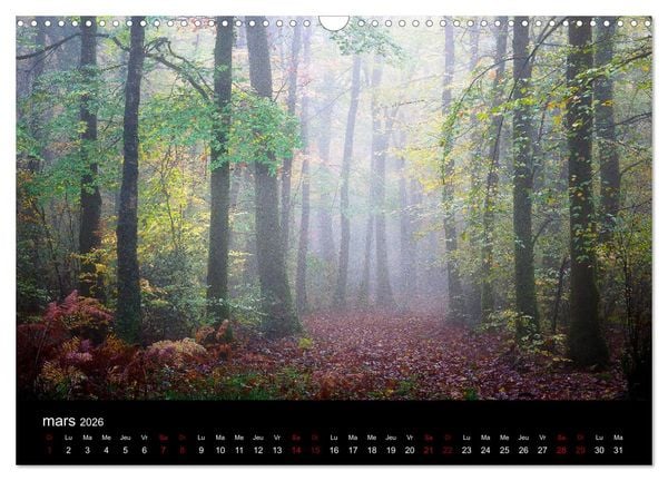 Produktbild: Lumi&egrave;res de Broc&eacute;liande (Calendrier mural 2026 DIN A3 vertical), CALVENDO calendrier mensuel