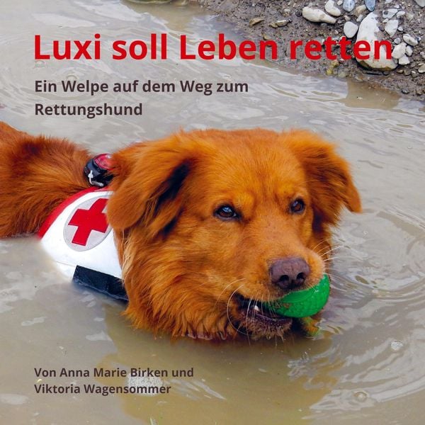 Produktbild: Luxi soll Leben retten