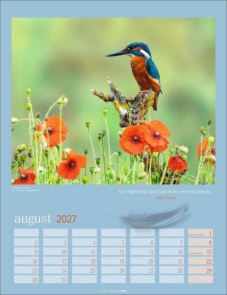 Produktbild: Heimische V&ouml;gel Kalender 2027