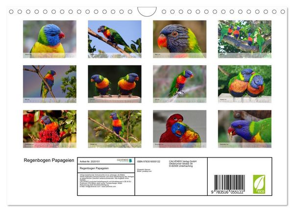 Produktbild: Regenbogen Papageien (Wandkalender 2026 DIN A4 quer), CALVENDO Monatskalender