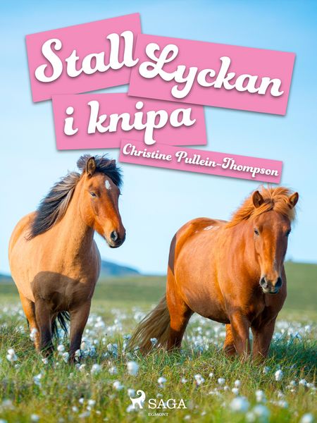 Produktbild: Stall Lyckan i knipa