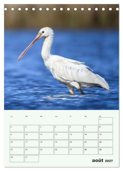 Produktbild: Voyage ornithologique (Calendrier de bureau 2027 DIN A5 horizontal), CALVENDO calendrier mensuel