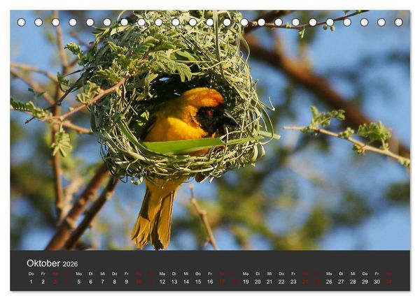 Produktbild: S&uuml;dafrika - Einzigartige Natursch&ouml;nheit (Tischkalender 2026 DIN A5 quer), CALVENDO Monatskalender