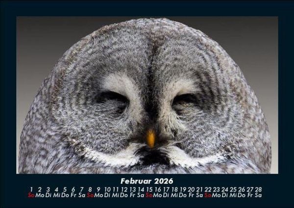 Produktbild: Vogelparadies 2026 Fotokalender DIN A5