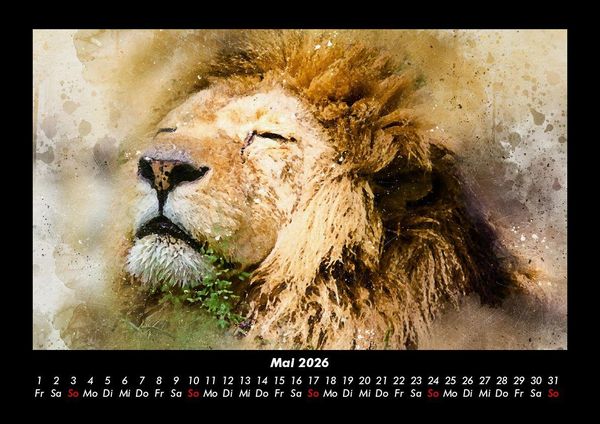 Produktbild: Kunstkalender 2026 Fotokalender DIN A3
