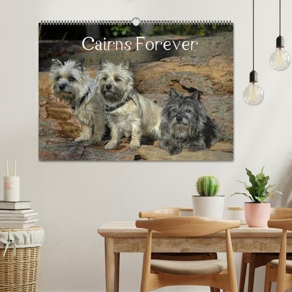 Produktbild: Cairns Forever (Wandkalender 2026 DIN A2 quer), CALVENDO Monatskalender